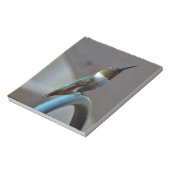 Grüne Ruby kleiner Hummingbird Notizblock (Rotiert)