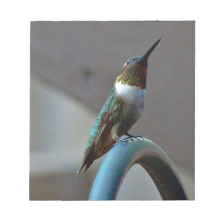 Grüne Ruby kleiner Hummingbird Notizblock