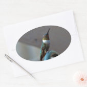 Grüne Ruby kleiner Hummingbird Ovaler Aufkleber (Umschlag)