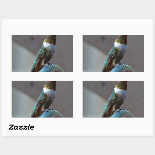 Grüne Ruby kleiner Hummingbird Rechteckiger Aufkleber (Blatt)