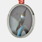 Grüne Ruby kleiner Hummingbird Silbernes Ornament (Links)
