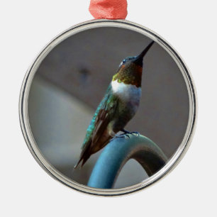Grüne Ruby kleiner Hummingbird Silbernes Ornament