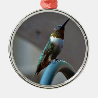 Grüne Ruby kleiner Hummingbird Silbernes Ornament