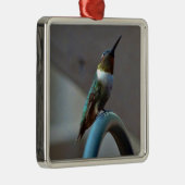 Grüne Ruby kleiner Hummingbird Silbernes Ornament (Rechts)