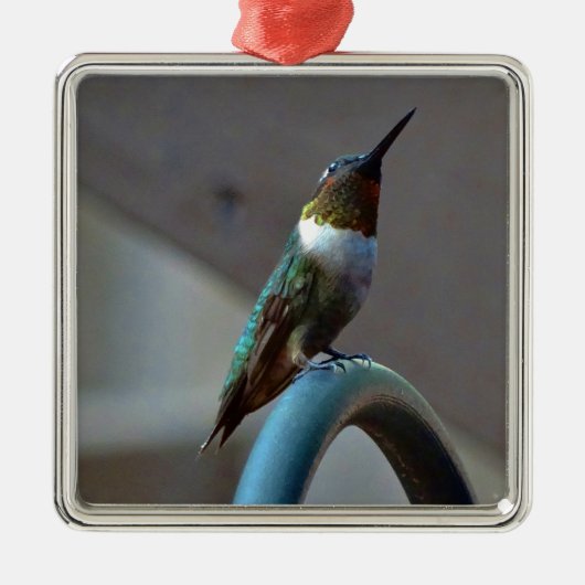 Grüne Ruby kleiner Hummingbird Silbernes Ornament (Vorne)