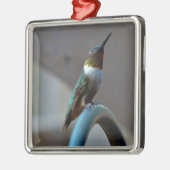 Grüne Ruby kleiner Hummingbird Silbernes Ornament (Links)