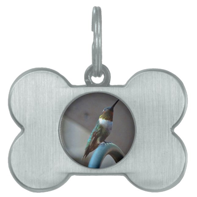 Grüne Ruby kleiner Hummingbird Tiermarke (Vorderseite)