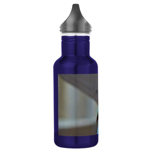 Grüne Ruby kleiner Hummingbird Trinkflasche (Links)