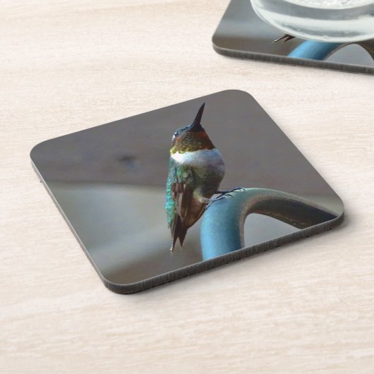 Grüne Ruby kleiner Hummingbird Untersetzer (Linke Seite)