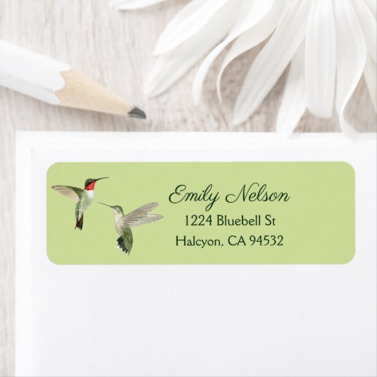 Grüne Ruby-throated Hummingbirds-Rücksendeadresse (Insitu)