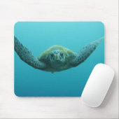 Grüne Schildkröte (Chelonia mydas agassisi), Mitte Mousepad (Mit Mouse)