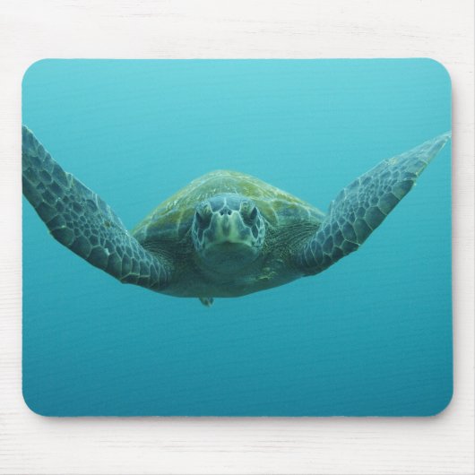 Grüne Schildkröte (Chelonia mydas agassisi), Mitte Mousepad (Vorne)