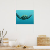 Grüne Schildkröte (Chelonia mydas agassisi), Mitte Poster (Küche)