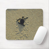 Grüne Schildkröte (Chelonia mydas), Bruchling Mousepad (Mit Mouse)