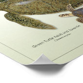 Grüne Schildkröte Erwachsene und Jugendliche Print Poster (Ecke)