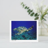 Grüne Schildkröte - Postkarte - 01 (Stehend Vorderseite)