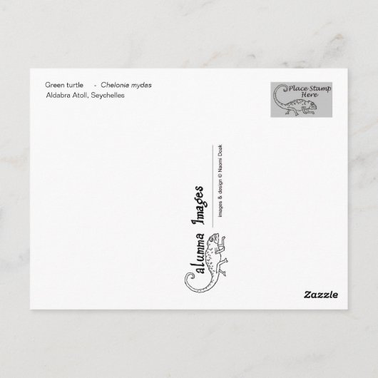 Grüne Schildkröte - Postkarte - 02 (Rückseite)