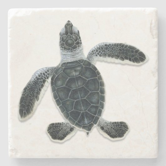 Grüne Schildkrötehatchlings-Stein-Untersetzer Steinuntersetzer (Vorderseite)