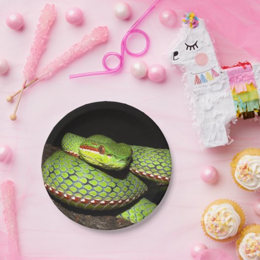 Grüne Schlange für Reptilliebhaber Pappteller (Party)