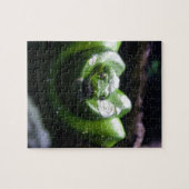 Grüne Schlange Puzzle (Horizontal)