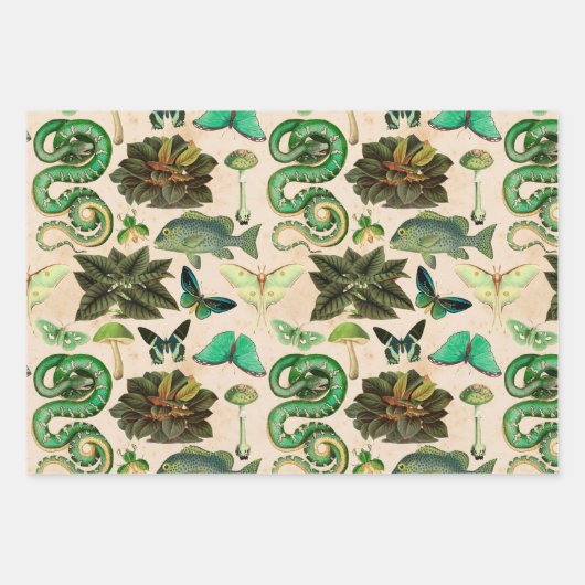 Grüne Schlangen Fisch und Schmetterling Geschenkpapier Set (Vorderseite 2)
