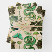 Grüne Schlangen Fisch und Schmetterling Geschenkpapier Set (Beispiel)