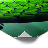Grüne Schlangen Poster (Ecke)