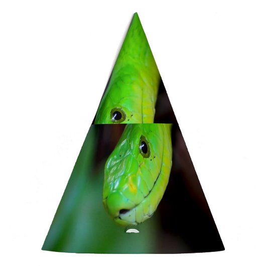 Grüne Schlangen-Pythonschlange Partyhütchen (Links)