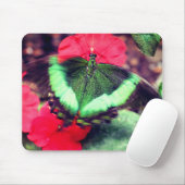 Grüne Schmetterlingsart Mousepad (Mit Mouse)