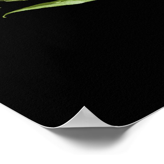 Grüne schwarze Botanische Hochzeitsstipps Begrüßun Poster (Ecke)