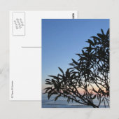 grüne Silhouette Postkarte (Vorne/Hinten)