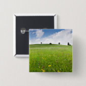 grüne Sommerwiesen im Bayern, ostallgÃ¤u mit Button (Vorne & Hinten)