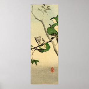 Grüne Spatzen no.1 Poster