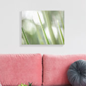 Grüne spitzen Pflanze Natur Foto Leinwanddruck (Insitu (Wohnzimmer))
