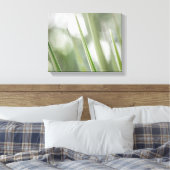 Grüne spitzen Pflanze Natur Foto Leinwanddruck (Insitu (Schlafzimmer))