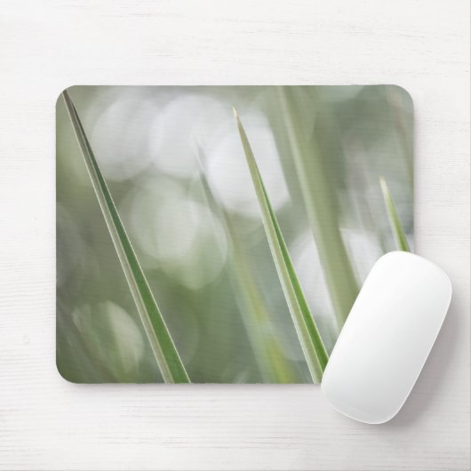 Grüne spitzen Pflanze Natur Foto Mousepad (Mit Mouse)
