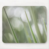Grüne spitzen Pflanze Natur Foto Mousepad (Vorne)