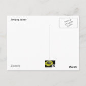 Grüne Springspinne (Salticidae) Postkarte (Rückseite)