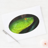 Grüne Stejneger-Schlange Ovaler Aufkleber (Umschlag)