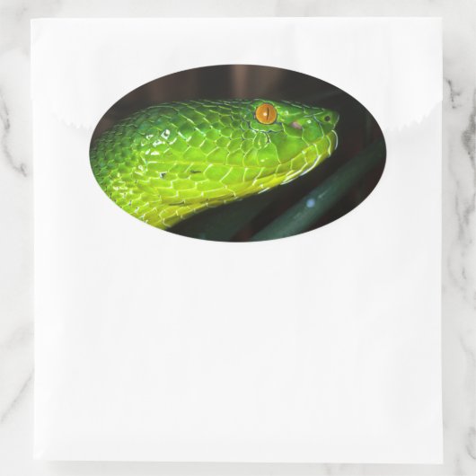 Grüne Stejneger-Schlange Ovaler Aufkleber (Tasche)
