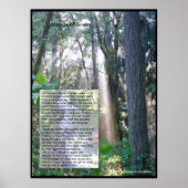 Grüne Stimmungen Poster (Vorne)