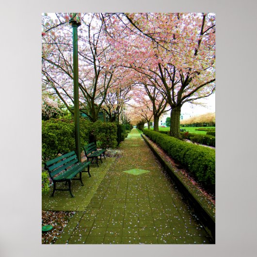 Grüne Straße Poster (Vorne)