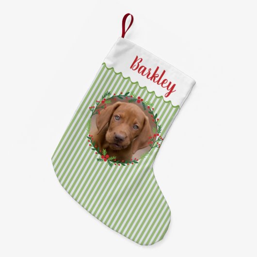 Grüne Streifen Evergreen Kranz Hund Foto Kleiner Weihnachtsstrumpf (Vorderansicht (hängend))