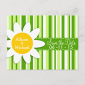 Grüne Streifen; Gestreift; Gänseblümchen Ankündigungspostkarte (Vorderseite)