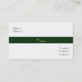 Grüne Streifen-Visitenkarte Visitenkarte (Rückseite)