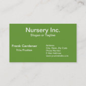 Grüne Sukkulationen Echeveria-Pflanze Visitenkarte (Rückseite)