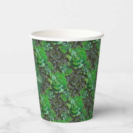 Grüne Sukkulationen Lattice Muster Papiergruppen Pappbecher (Rückseite)