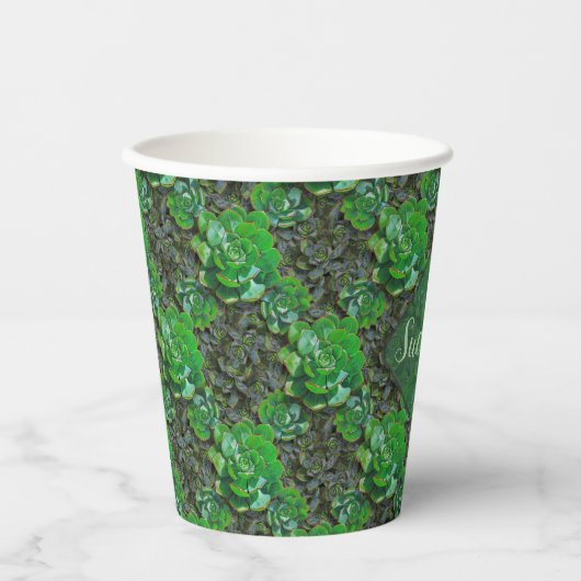 Grüne Sukkulationen Lattice Muster Papiergruppen Pappbecher (Vorderseite)