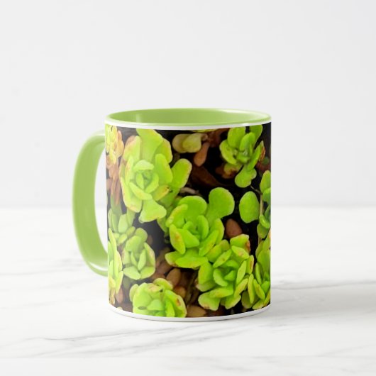 Grüne sukkulente Blume Tasse (Vorderseite Links)