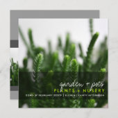Grüne Sukkulente Gras Pflanze Foto Modernes Party Einladung (Vorne/Hinten)